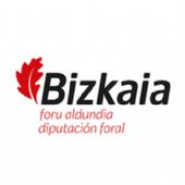 Logo diputacion foral Bilbao Bizkaia