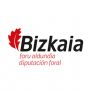 Logo diputacion foral Bilbao Bizkaia