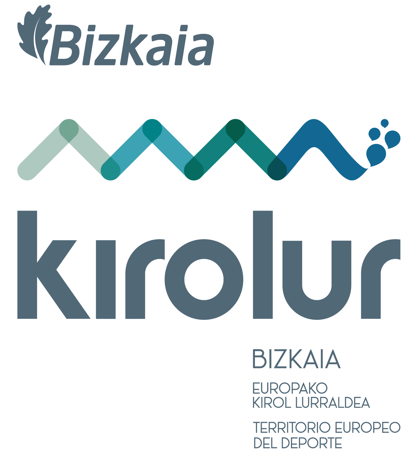 Logo diputacion foral Bilbao Bizkaia