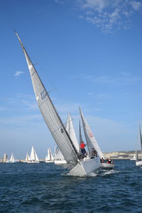 013_regata_gallo_2015