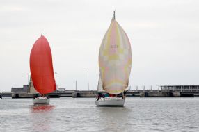 regata surne 2016