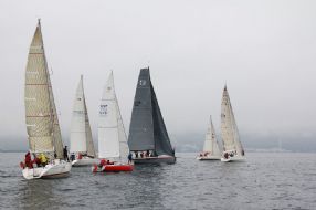 XII regata surne