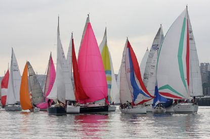 Regata Gallo 2016_172