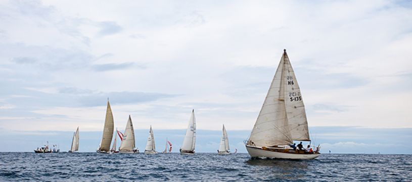 foto copa gitana 2018 1