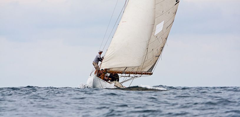 foto copa gitana 2018 2