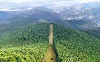 Salida 26 de mayo: Subida al monte Eretza - 