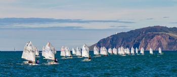 El Campeonato de Espa�a de la clase Optimist se celebra en el Abra - 