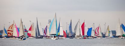 Regata Gallo 2016152